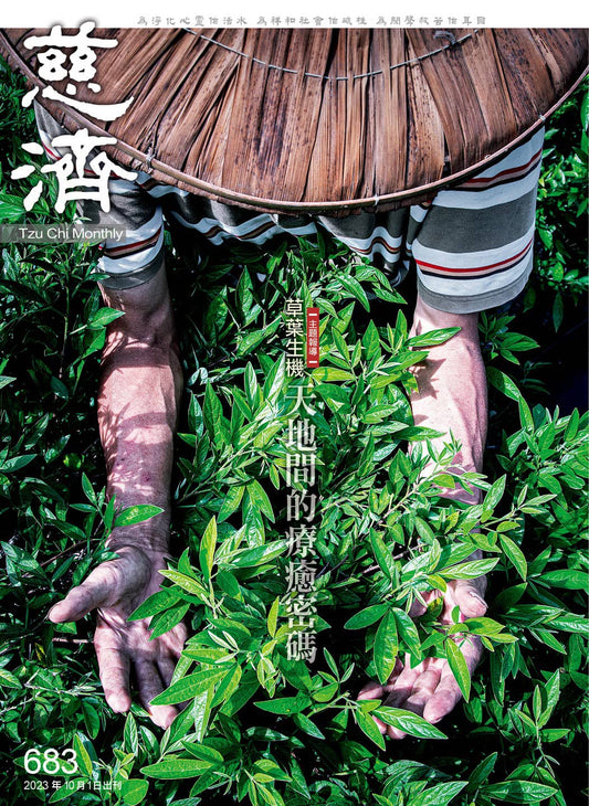 慈濟月刊訪問創辦人藥草養生保健,艾草安全使用