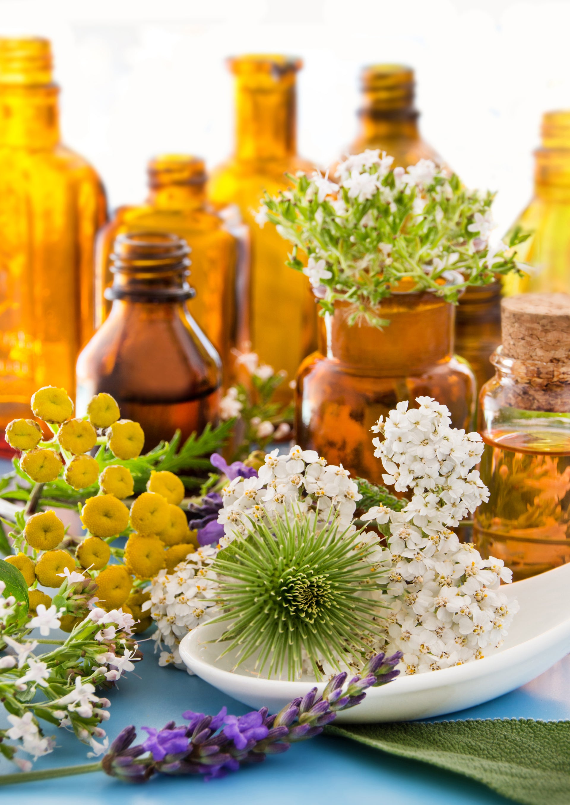 Herb Extract