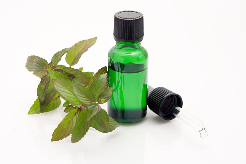 rosemary garden organic herbs and aromatherapy rosemary garden organic herbs and aromatherapy