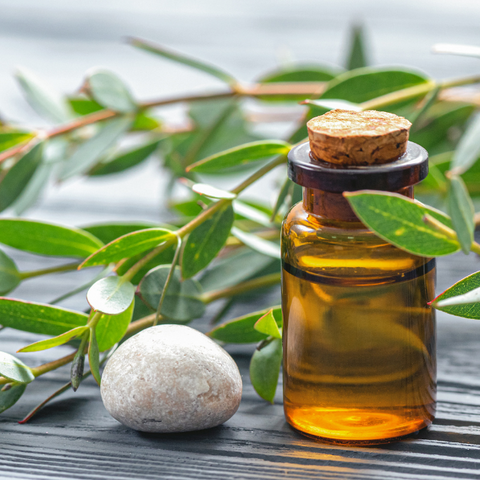 Peppermint Eucalyptus essential oil