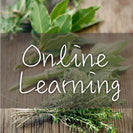 Online learning 900x900
