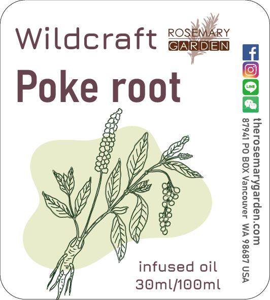 Wildcraft Poke root (Phytolacca decandra)infused oil 30ml, Rosemary Garden