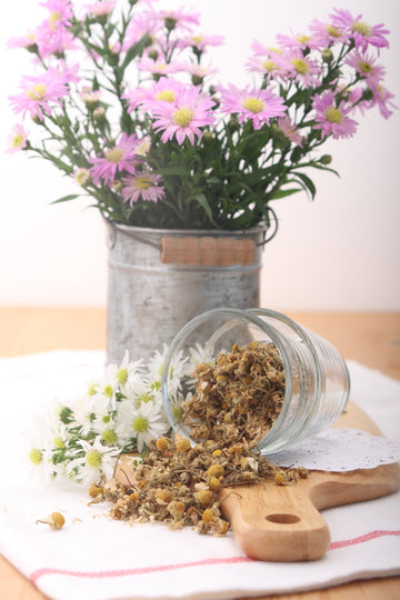 Organic German Chamomile flower (Matricaria recutita),美國迷迭香花園有機洋甘菊