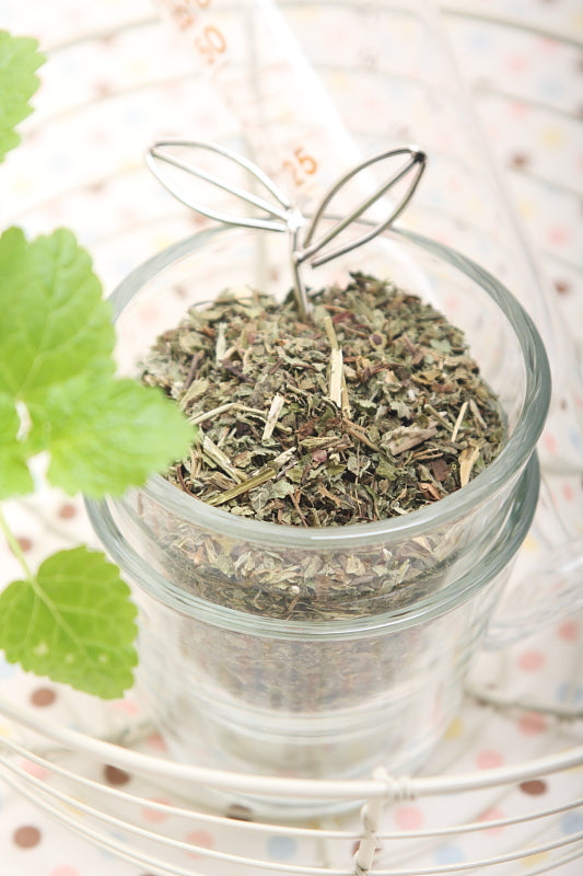 rosemary garden organic herbs and aromatherapy