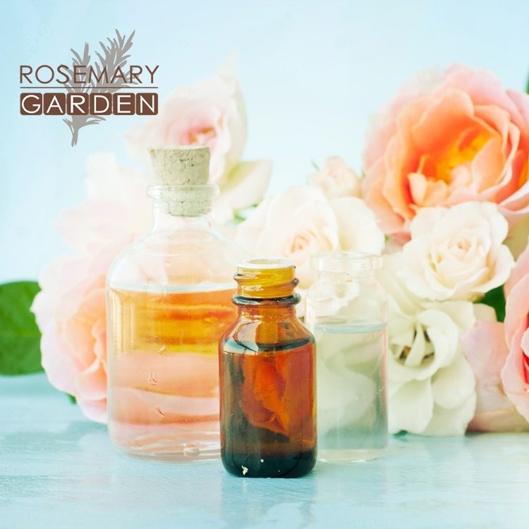 Marula Moringa facial cleansing oil Rosemary Garden